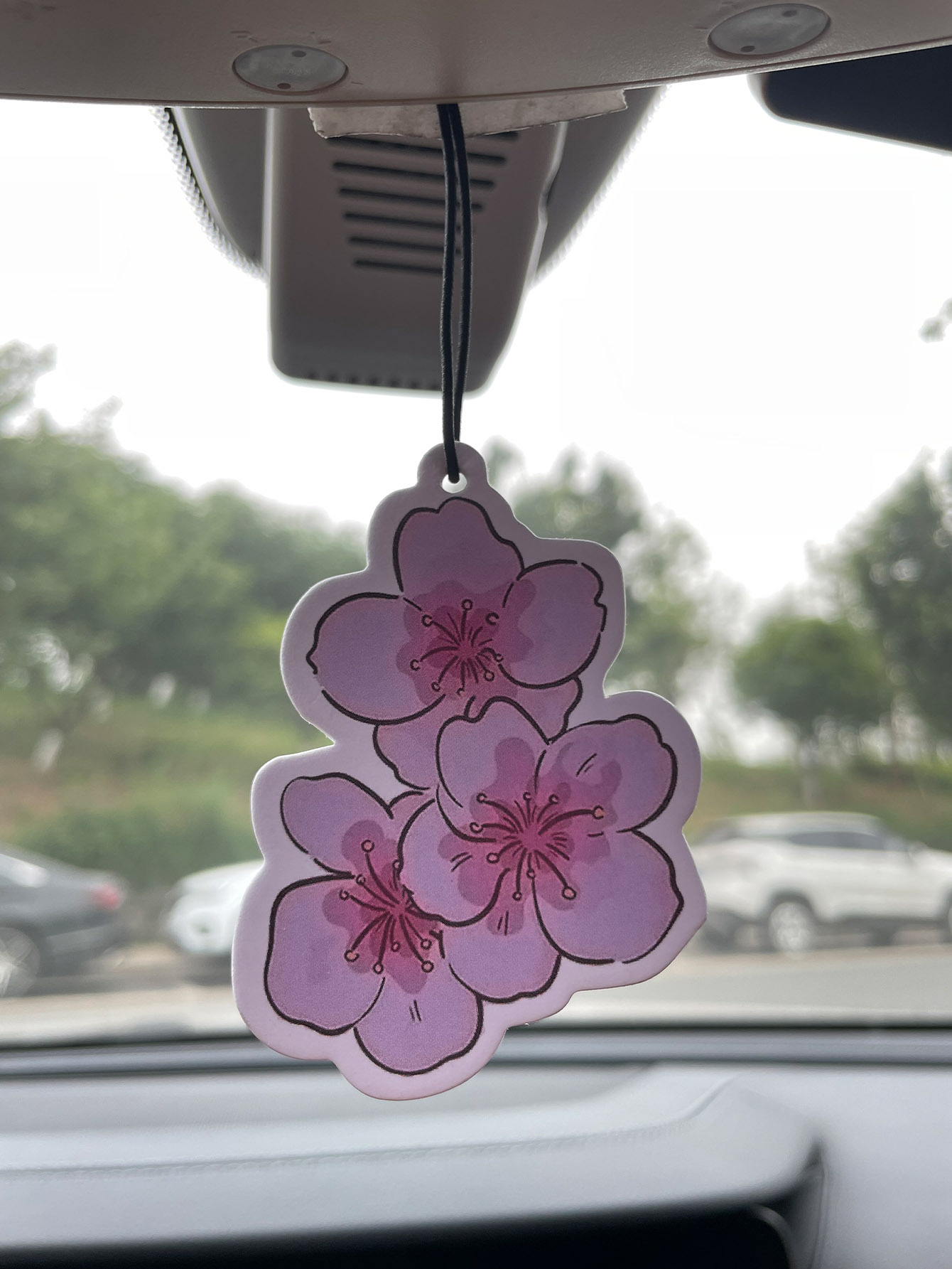 Perfume And Fragrance Are Same - Sakura/Frezya Taze Kokulu Beş Yıldızlı Nötr