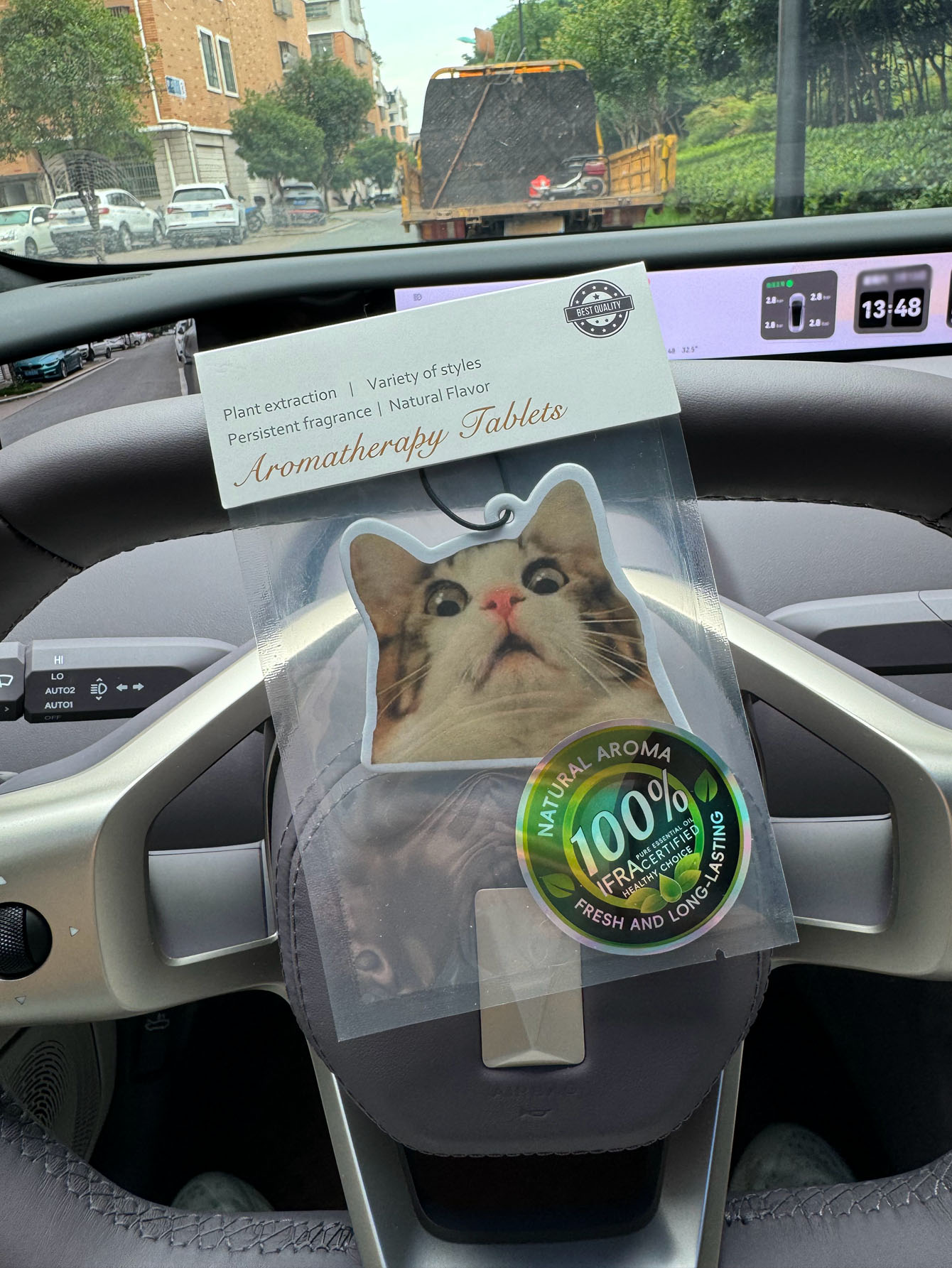 Sürpriz Şoklu Kedi Meme Araba  - Perfume And Fragrance Are Same incelemesi ve fiyatı