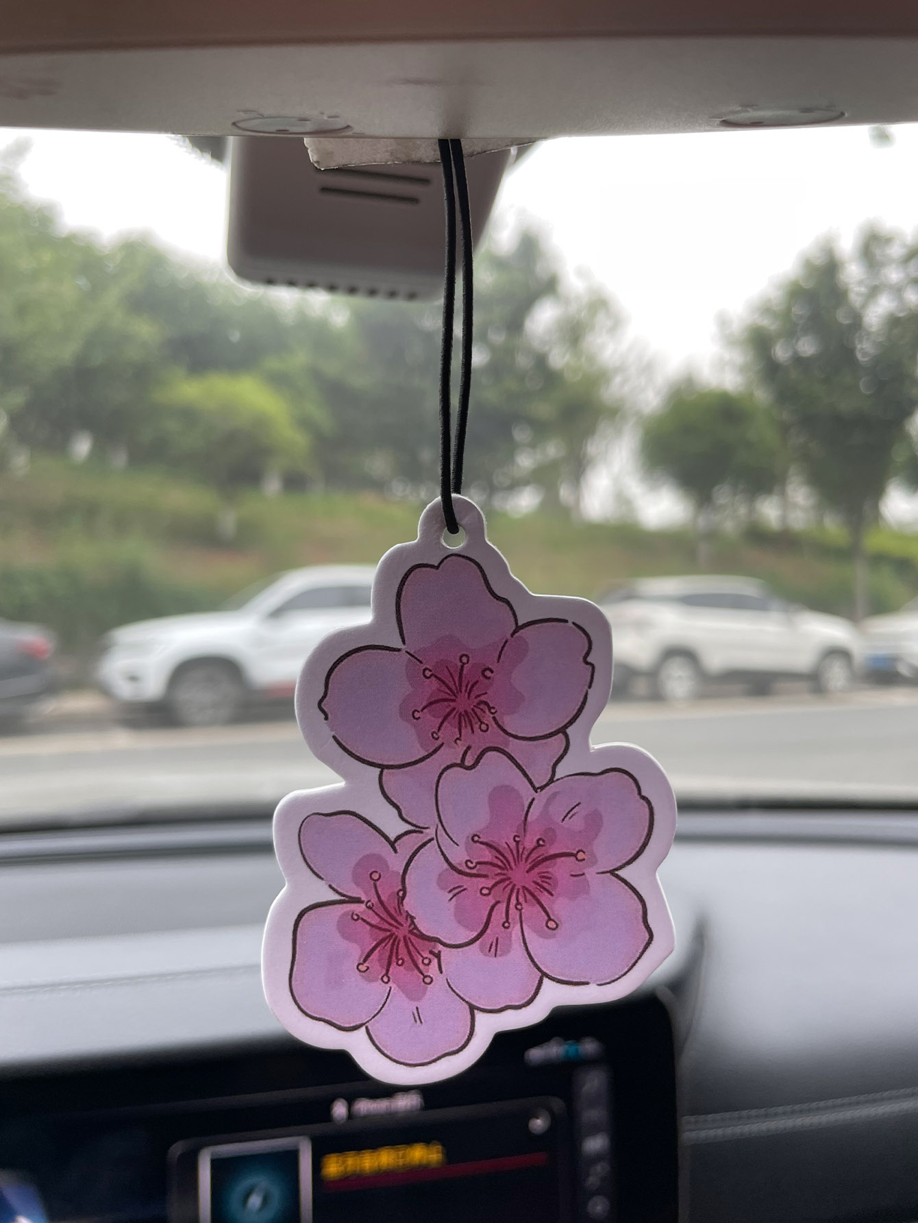 Sakura/Frezya Taze Kokulu Beş  - Perfume And Fragrance Are Same incelemesi ve fiyatı